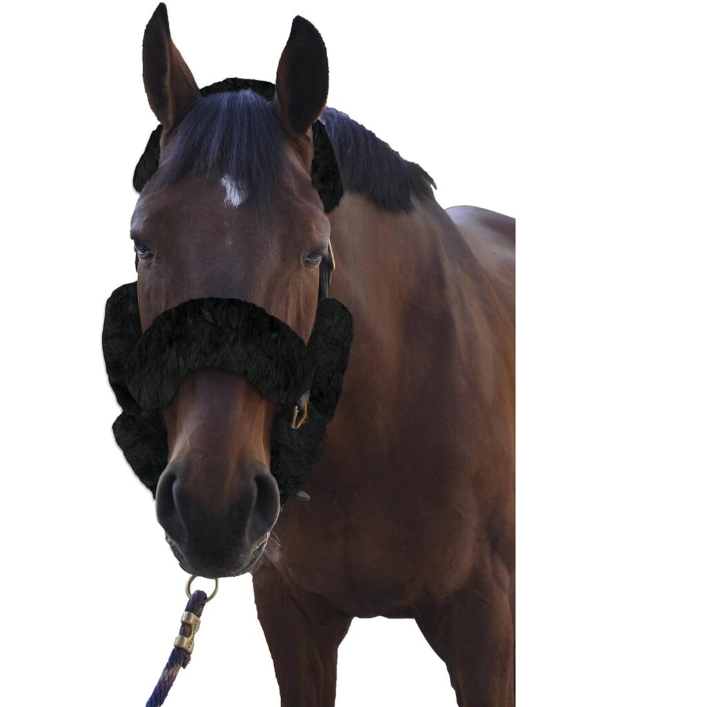 Merino Sheepskin Horse Halter Set, 9 Pieces detail image