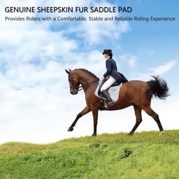 sheepskin dressage saddle pad white