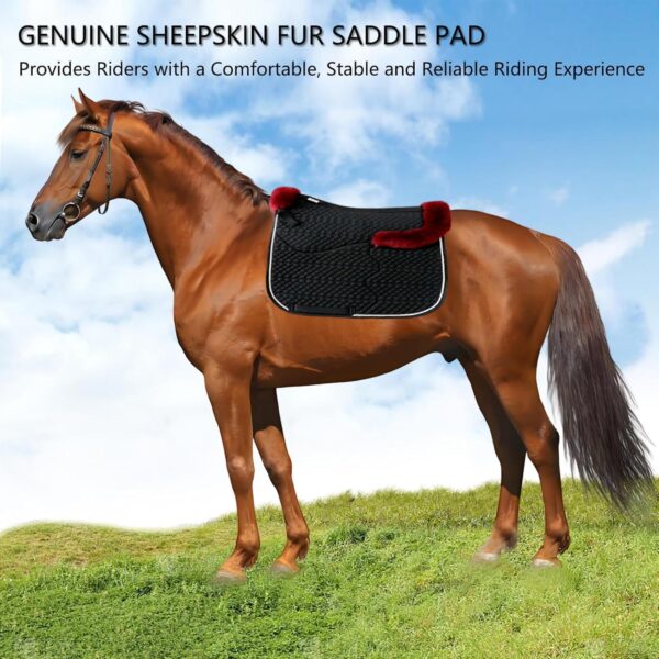 english saddle pad with sheepskin trim